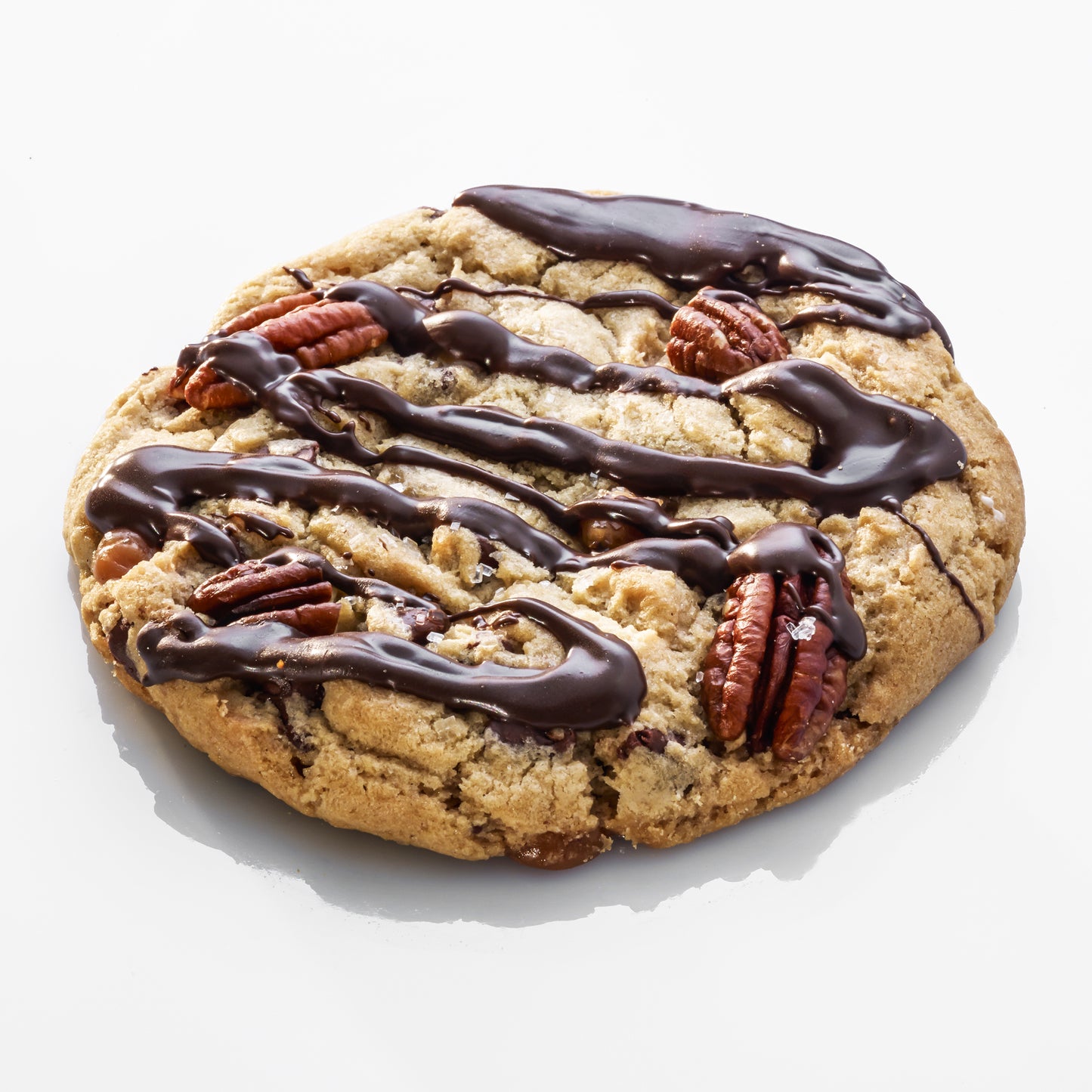 Turtle Infused Cookie